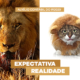 Banner 02