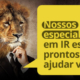 Consultoria-contabil-imposto-de-renda-2021